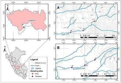 Potential ecological risk from heavy metals in surface sediment of lotic systems in central region Peru